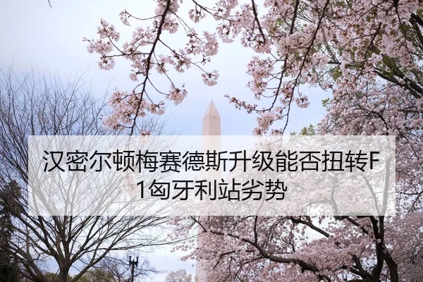 han-mi-er-dun-mei-sai-de-si-sheng-ji-neng-fou-niu-zhuan-xiong-ya-li-zhan-lie-shi-2-834.jpg