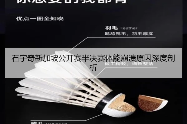 shi-yu-qi-xin-jia-po-gong-kai-sai-ban-jue-sai-ti-neng-beng-kui-yuan-yin-shen-du-pou-xi-3-211.jpg