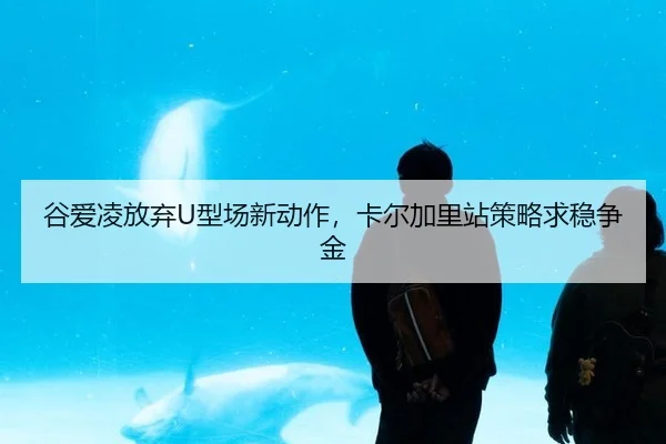 gu-ai-ling-fang-qi-xing-chang-xin-dong-zuo-ka-er-jia-li-zhan-ce-lve-qiu-wen-zheng-jin-2-316.jpg